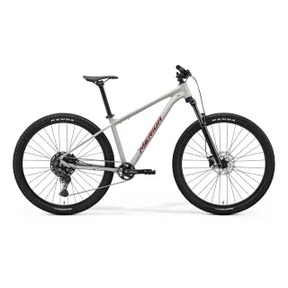 【MERIDA 美利達】BIG NINE 200 29吋輪徑單避震登山車(無附腳架/SHIMANO CUES傳動/大9/越野/XC/單車)