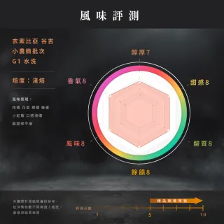 【JC咖啡】莊園濾掛咖啡-衣索比亞 谷吉 G1 水洗x1盒│淺焙(10gx10包/盒;去氧設備包裝)