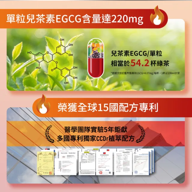 【Nutrimate 你滋美得】孅甘紅膠囊 x2入 共60粒(吳淡如代言/健字號/兒茶素/薑黃)
