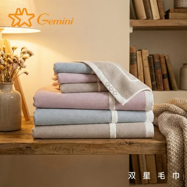 【Gemini 雙星】官方直營 100%純棉 無捻紗風車毛巾(毛巾超值2入組)