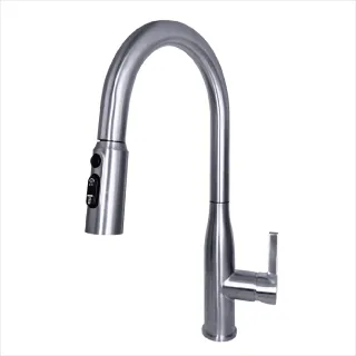 【iBenso】伸縮龍頭 22C-6101BN