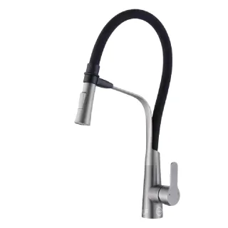 【iBenso】伸縮龍頭 99C-1101-1BN