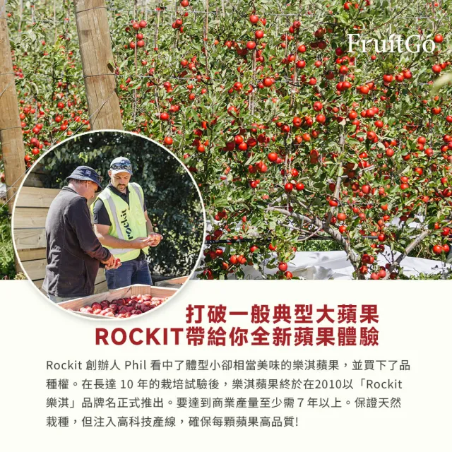 【FruitGo 馥果】紐西蘭樂淇特大蘋果12管_4顆共424g/管(#412產地原箱直送)(中元普渡 水果送禮）
