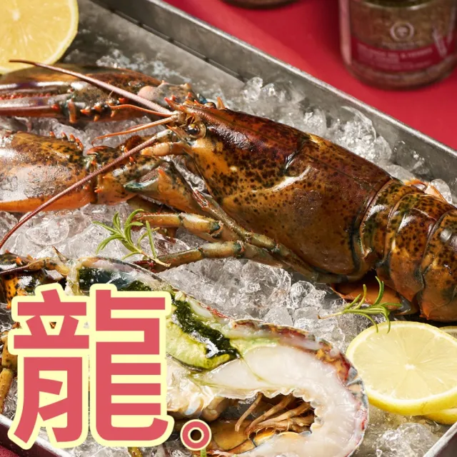 【2026】龍蝦推薦ptt》10款高評價人氣品牌排行榜 | 好吃美食的八里人