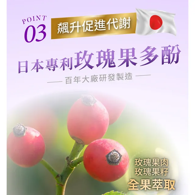 【iVENOR】專利玫瑰果多酚 紫孅果x3盒(30粒/盒 余祥銓&柔柔有效推薦)