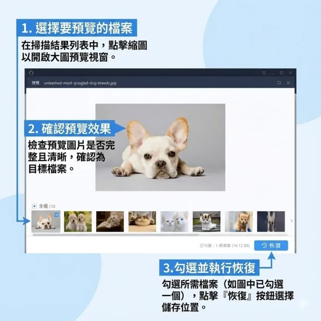 【EaseUS】Data Recovery 一個月 資料救援 硬碟救援 硬碟修復(台灣總代理-冠鋐電腦原廠合法授權認證)