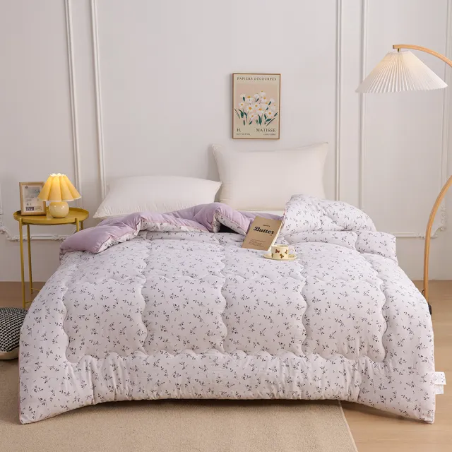 【日禾家居】買一送一 石墨烯保暖水洗被2.5KG 棉被 冬被(雙人180X210cm 多色選)