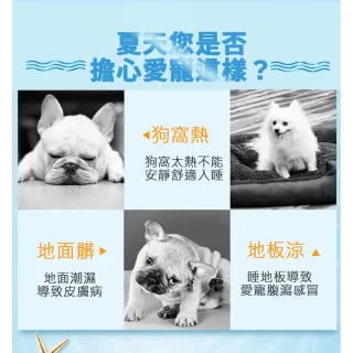 【ROYAL LIFE 皇室生活】寵物涼感冰絲面睡墊床窩-涼感墊S 4入組(寵物窩/寵物涼感墊/透氣/狗窩/貓窩/睡床)
