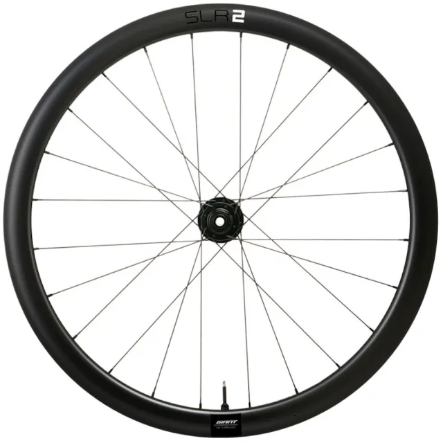 【GIANT】GIANT SLR 2 42 碳纖維 碟煞版 中鎖式 前後輪組 全能框(公路車 自行車)