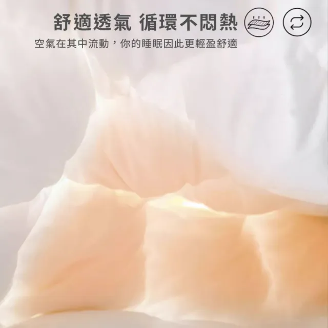 【A-nice】台灣製 飯店御用 立體隔間 95%天然極保暖羽絨被(雙人 6x7呎 棉被/冬被/羽絨被 WS5)