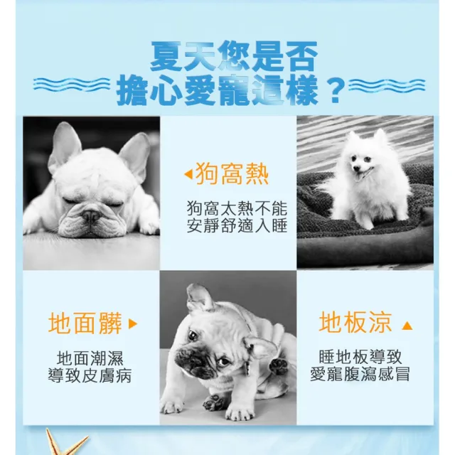 【ROYAL LIFE 皇室生活】寵物涼感冰絲面睡墊床窩-涼感墊M 2入組(寵物窩/寵物涼感墊/透氣/狗窩/貓窩/睡床)