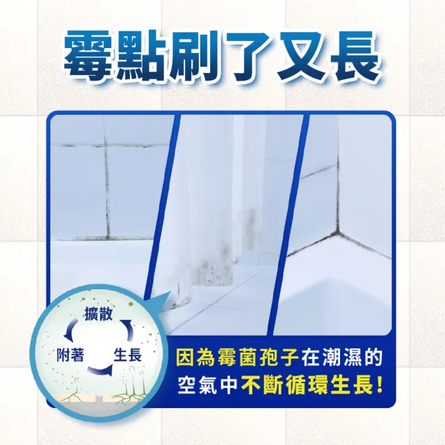 【風倍清】廁所防霉防臭劑/芳香劑 5入裝 清潔 浴廁小幫手(柔和花香/清新柑橘)