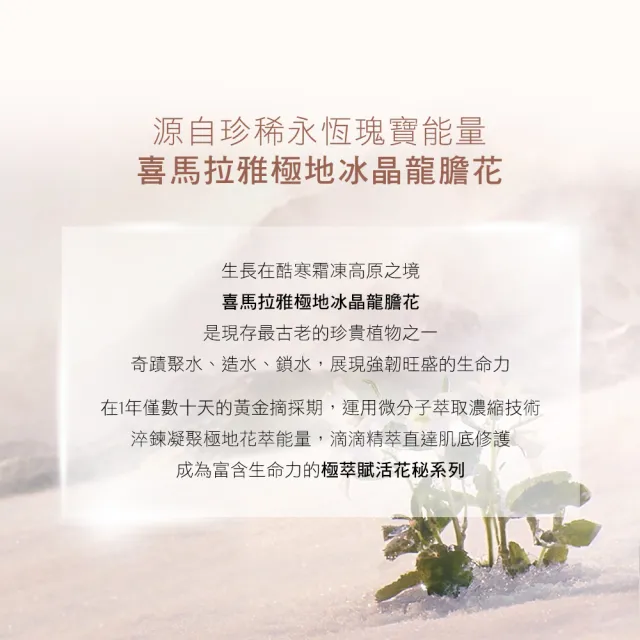【Estee Lauder 雅詩蘭黛】白金級極萃賦活花秘眼霜15ml(冰肌乳霜質地  一抹化水)