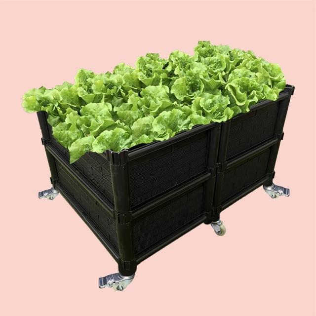 【田園樂】育材雙層雙連通種植箱+金屬輪1.5吋*6(組合種菜箱/深根植物栽培/可選側板/金屬輪子方便移動)