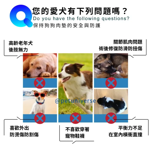 【Pet Universe 多寵宇宙】狗狗止滑貼-40入(寵物止滑貼 寵物足貼 狗狗腳貼 狗狗防滑貼 寵物腳貼 狗狗足貼)
