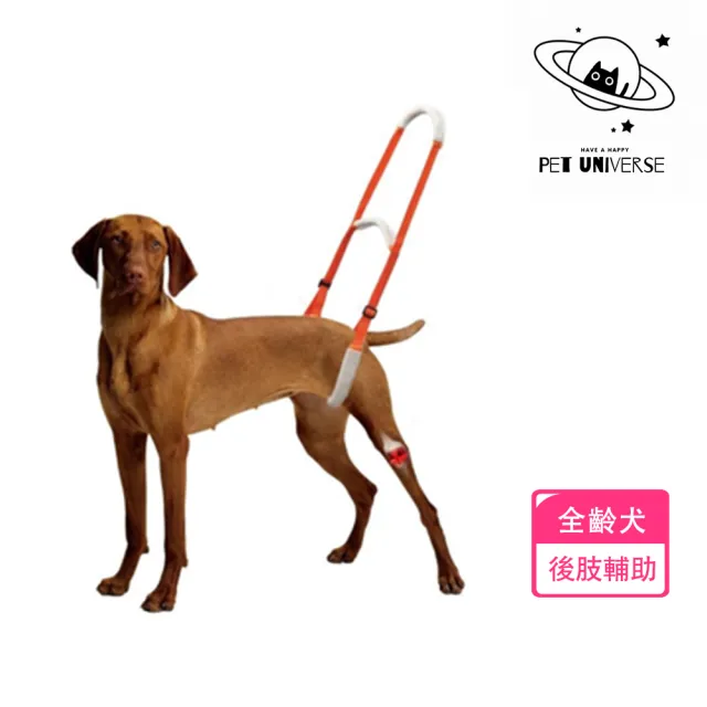 【Pet Universe 多寵宇宙】後肢輔助帶-兩用款(狗狗輔助帶 寵物輔助帶 狗輔助帶 老犬輔助帶 寵物輔助 老犬)