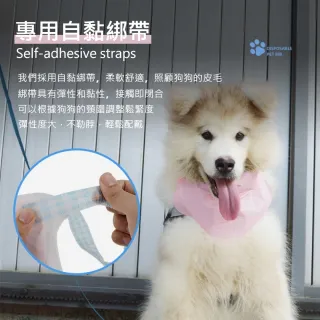 【Pet Universe 多寵宇宙】拋棄式寵物口水巾-S(寵物圍兜兜 貓咪圍兜 寵物圍兜 寵物圍巾 狗狗口水巾)