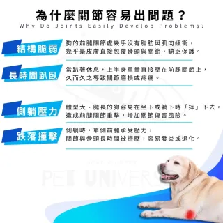【Pet Universe 多寵宇宙】狗狗關節護具-短筒 2入/對(狗狗護膝 狗護膝 狗狗護肘 狗狗護具 狗復健 寵物護肘)