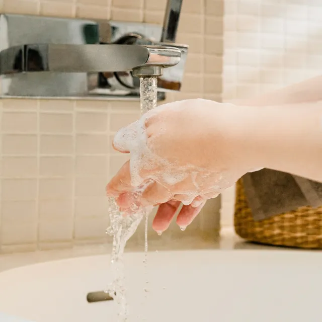 【茶籽堂】溫和保濕洗手露500mL｜天然植萃香氣(肖楠葉純淨/馬栗樹水潤/乾性肌/中性肌)