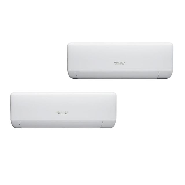 SANLUX台灣三洋 SAC-BV50HJ