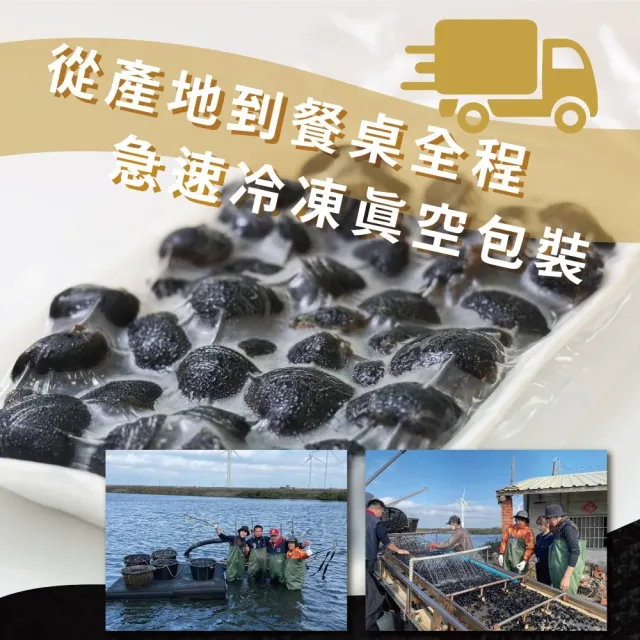 【新港社合 X 塭底撈】生態養殖大和黑蜆300g/包 6包/組(肉質鮮嫩 滋補元氣 外銷日本)