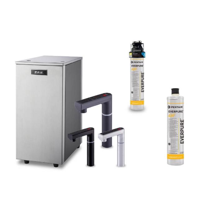 【愛惠浦】雙溫櫥下型 HS288T PLUS觸控熱飲機+PURVIVE-4H2生飲淨水器