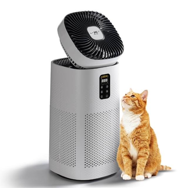 MOLIJIA魔力家 BY010096