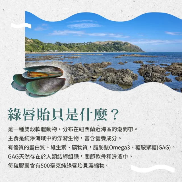 【Sanct Bernhard 聖伯納德】德國百年草本 綠唇貽貝膠囊X4入(300粒/罐 糖胺聚醣)