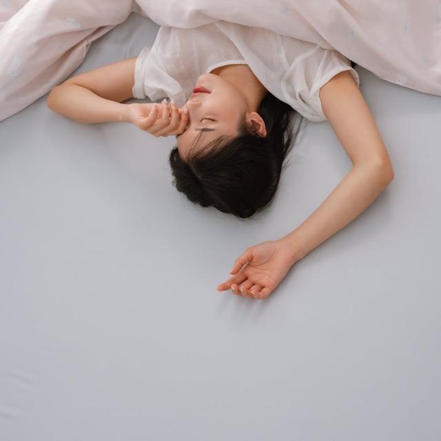 【翔仔居家】60支天絲 床包+枕套-3件組-Ribbon(雙人/雙人床包/天絲床包/萊賽爾天絲)