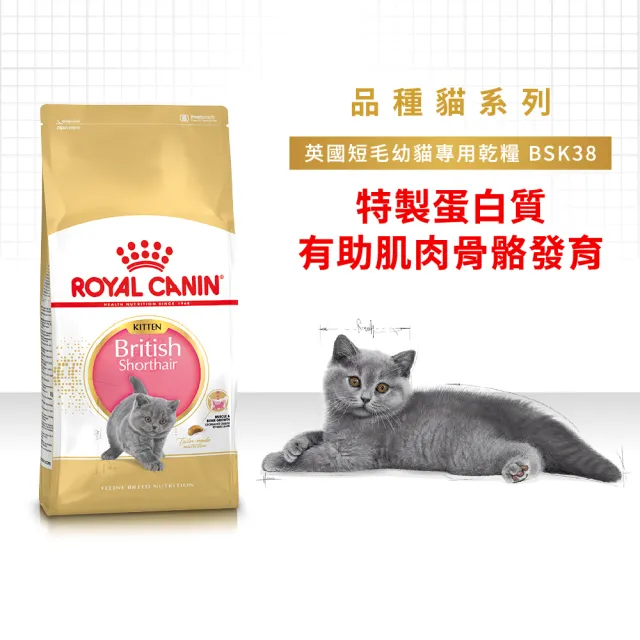 【ROYAL 法國皇家】英國短毛幼貓專用飼料 BSK38 2KG(貓乾糧 貓飼料 免疫力 腸胃)