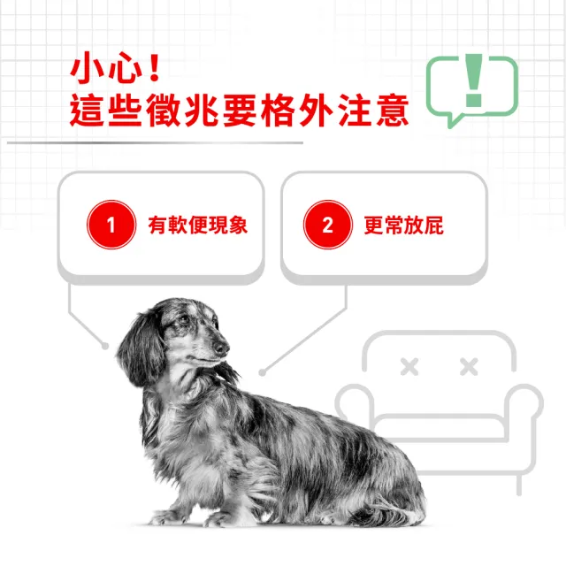 【ROYAL 法國皇家】腸胃保健小型成犬 DGMN 8KG(小顆粒 狗乾糧 狗飼料)