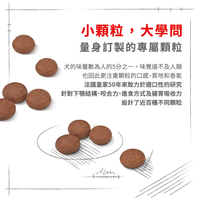 【ROYAL 法國皇家】腸胃保健小型成犬 DGMN 8KG(小顆粒 狗乾糧 狗飼料)