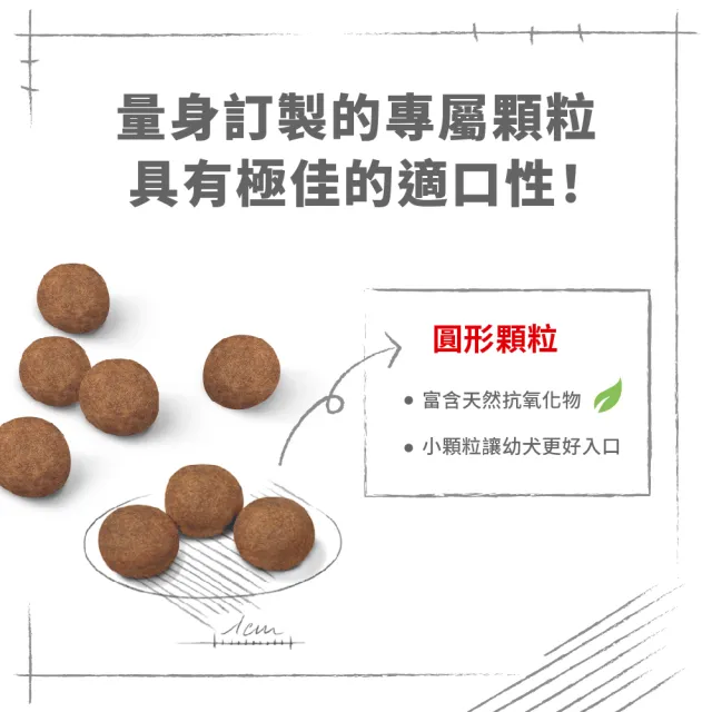 【ROYAL 法國皇家】中型幼犬專用飼料 MP 10KG(狗乾糧 狗飼料)
