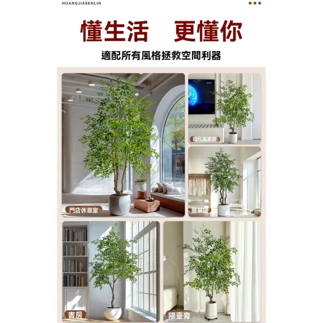 【諾必行】仿真榆錢樹 150單桿大型仿真綠植 落地盆栽 仿生植物 假樹 熱帶假樹
