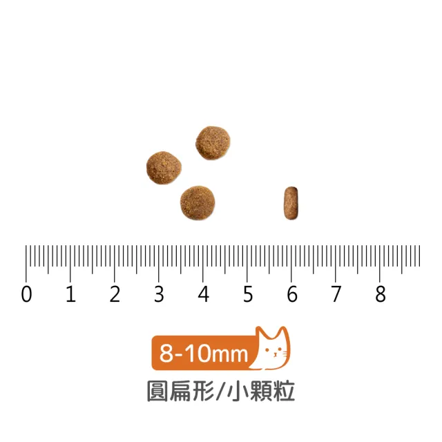 【Hyperr 超躍】貓咪無穀飼料+凍乾 300g 任選(貓飼料 貓糧 高肉量 添加魚油 雞肉 牛肉 羊肉 鹿肉)