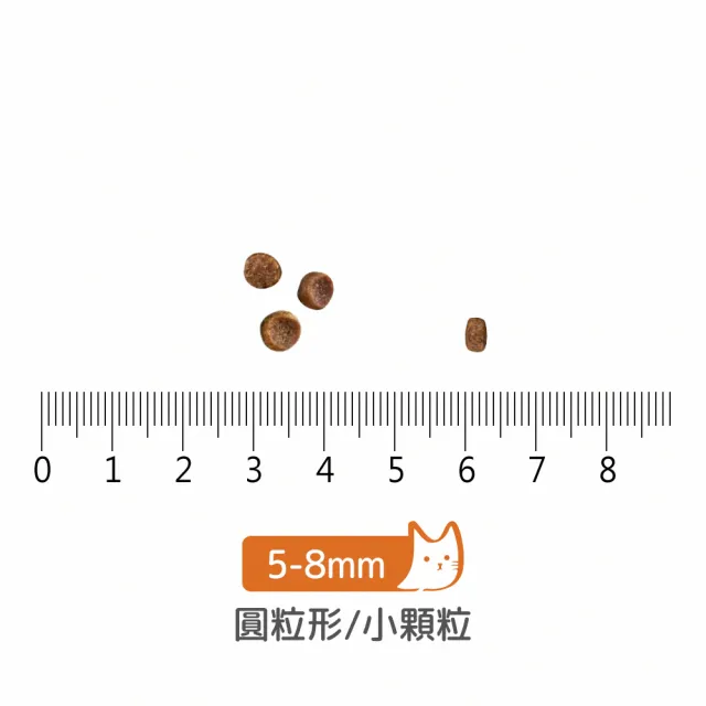 【Now!】老貓/體控貓鮮肉配方16磅  貓咪無穀天然糧(貓糧 貓飼料 益生菌 蔓越莓 低卡 熟齡貓)
