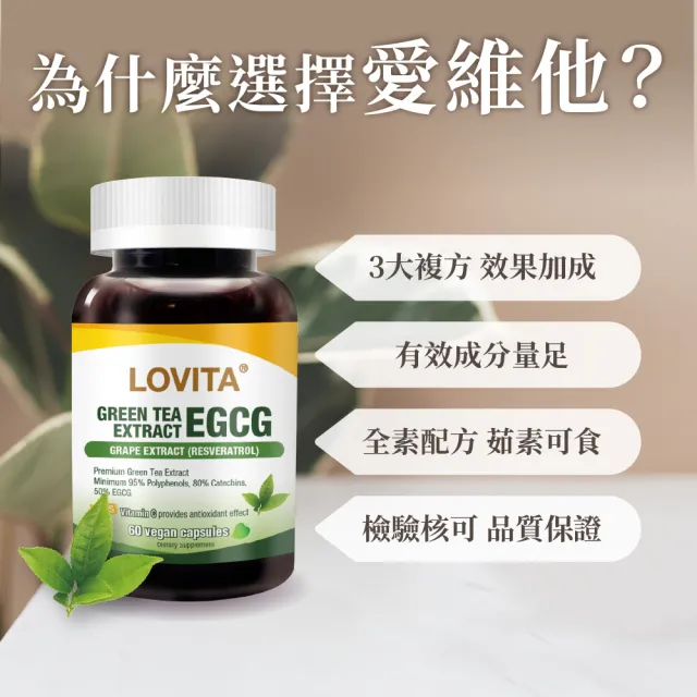 【LOVITA 愛維他】綠茶兒茶素EGCG白藜蘆醇素食膠囊 60顆(兒茶素 綠茶多酚)