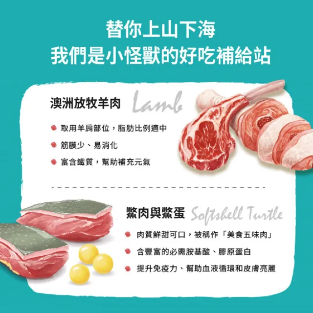 【怪獸部落】犬用1種肉無膠主食罐165gx12入-清燉鴨肉(狗主食罐 全齡適用)