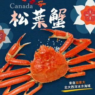 【好神】加拿大熟凍松葉蟹5隻組(375g/隻)