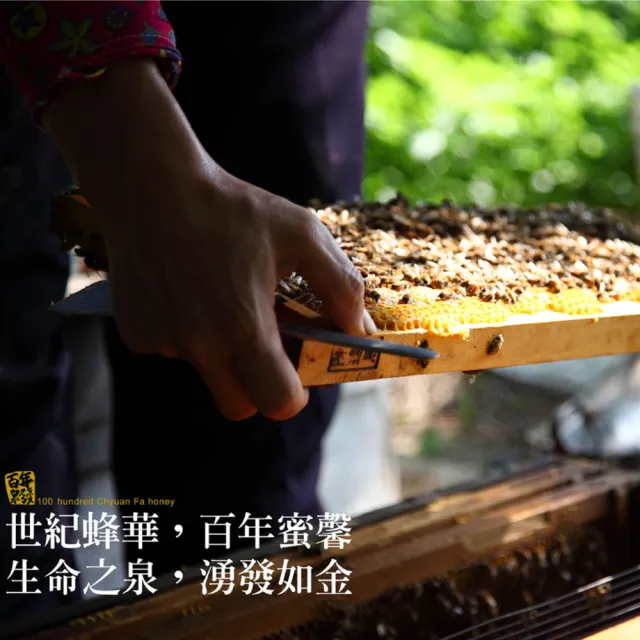 【CHYUANFA 泉發蜂蜜】茶花花粉600g