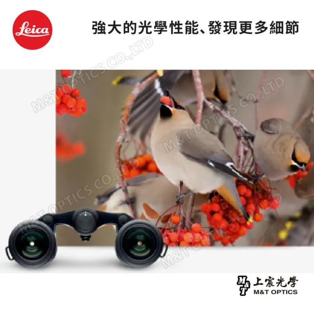 【LEICA 徠卡】Ultravid 8X20 leather 金屬霧黑經典型-限量版(總代理公司貨)