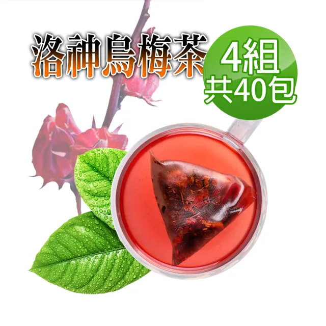 【蔘大王】洛神烏梅茶包X4組（6gX10入/組）(長效期版 促進新陳代謝 開胃 油切解膩 天然快樂人身)