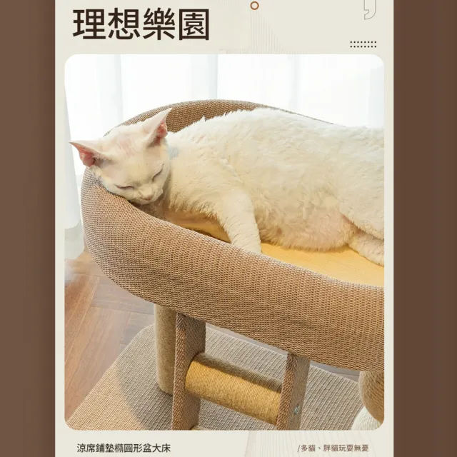 【IPSKY】小戶型貓爬架47公分(劍麻磨爪逗貓球 矮腳貓貓跳臺 貓窩貓樹一體 貓抓柱 胖貓無憂 四季通用)