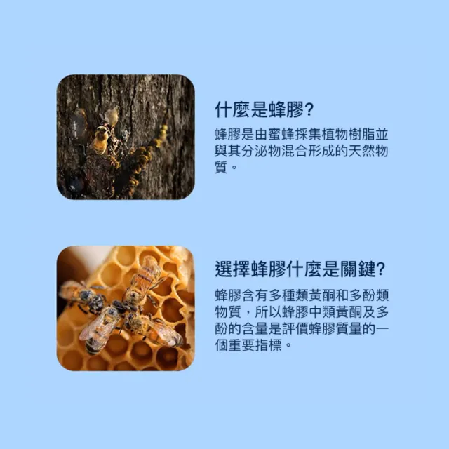 【Comvita 康維他】PFL15蜂膠萃取精華液 25ml/瓶