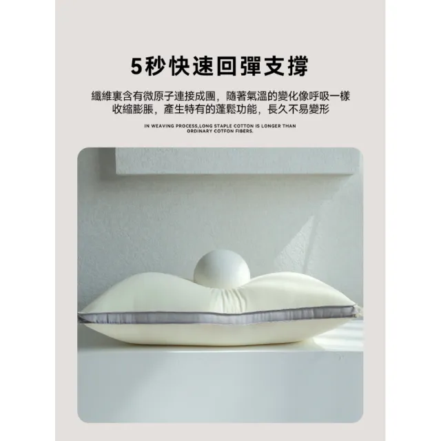 【織飾家】蠶絲蛋白纖維枕