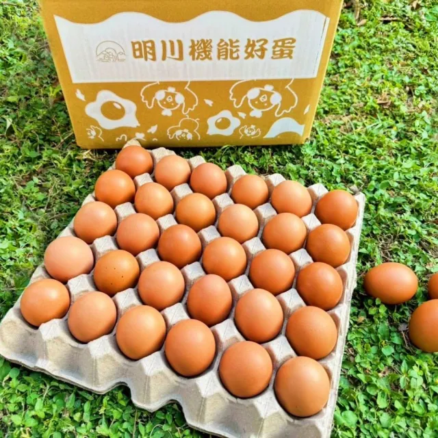 【明川蛋品】靈芝葉黃素紅仁土雞蛋×30顆_30顆/盤_新鮮直送(友善平飼*非籠養*靈芝三萜&金盞花葉黃素機能蛋)