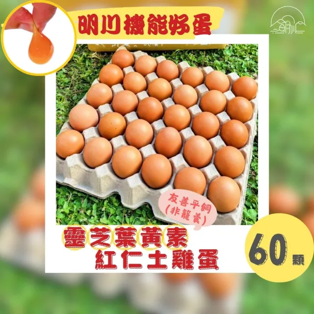 【明川蛋品】靈芝葉黃素紅仁土雞蛋×60顆_30顆/盤_新鮮直送(友善平飼*非籠養*靈芝三萜&金盞花葉黃素機能蛋)