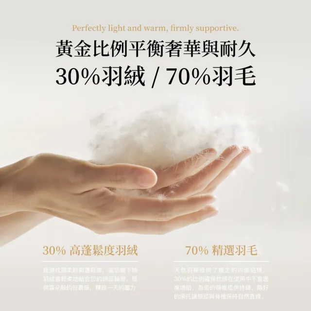 【ISHUR 伊舒爾】星級飯店輕奢款70/30羽絨枕2入 台灣製造(飯店枕/蓬鬆柔軟/枕頭/枕芯)