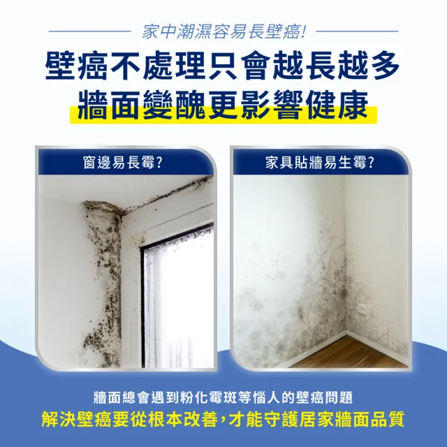 【得利】抗壁癌威力包（3公升組裝）(壁癌)