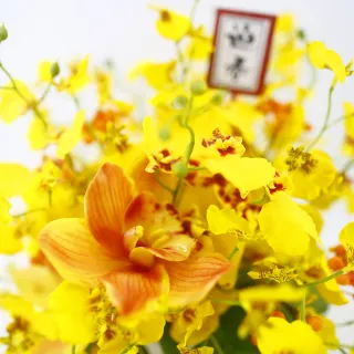 【HUGO DECO 榆果傢飾】舞動富貴招財跳舞蘭香氛花禮(春節/過年/新春/送禮/祝賀)